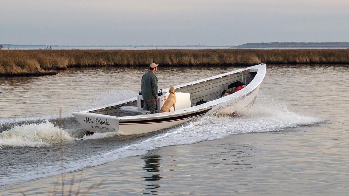 Shad boat