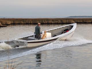 Shad boat