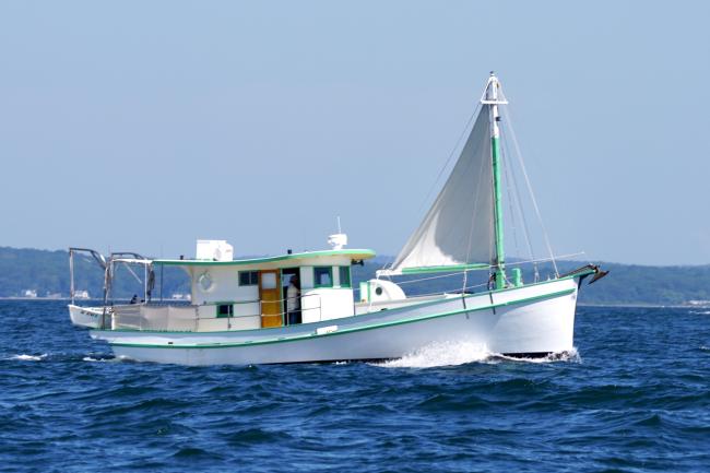 Biloxi Lugger "Southern Grace", undersail starboard side view