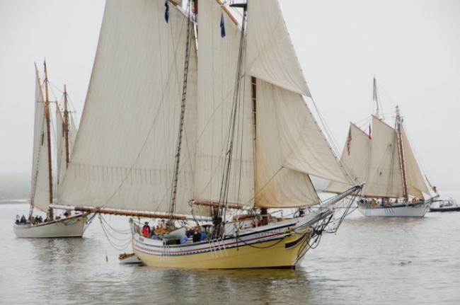 Image: www.boothbayharborwindjammerdays.org/gathering-of-the-fleet